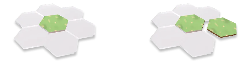 Placement Feedback
