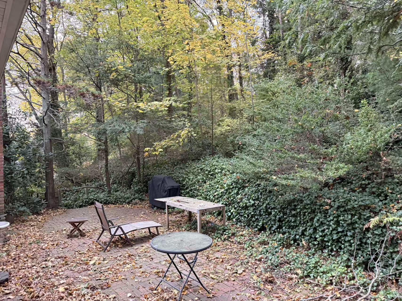 Backyard site inspiration