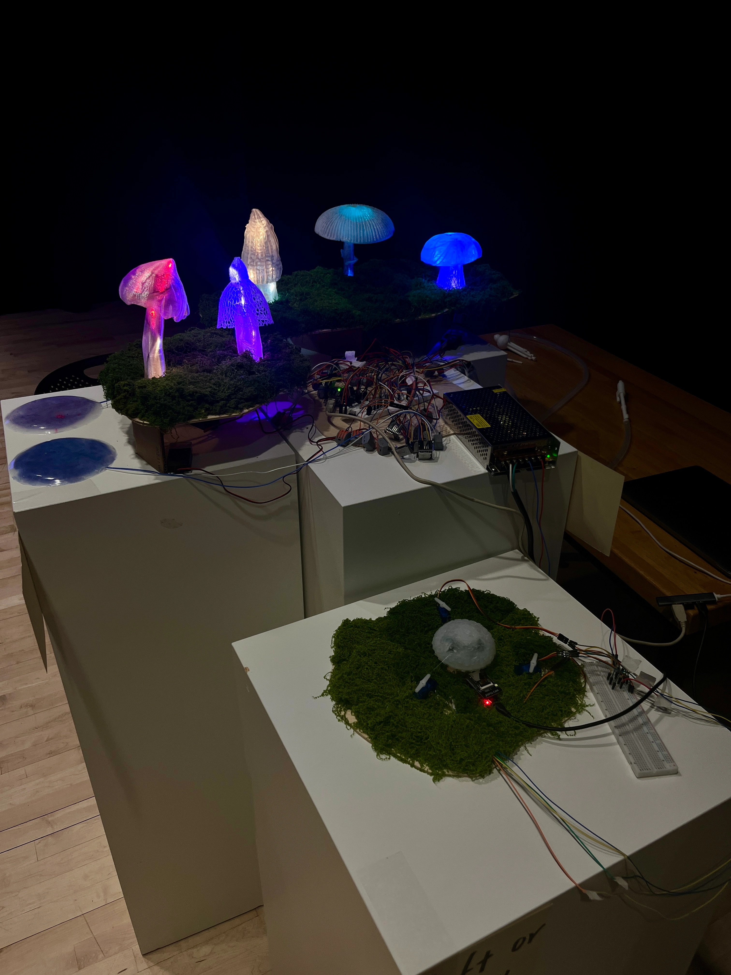Exhibition 1