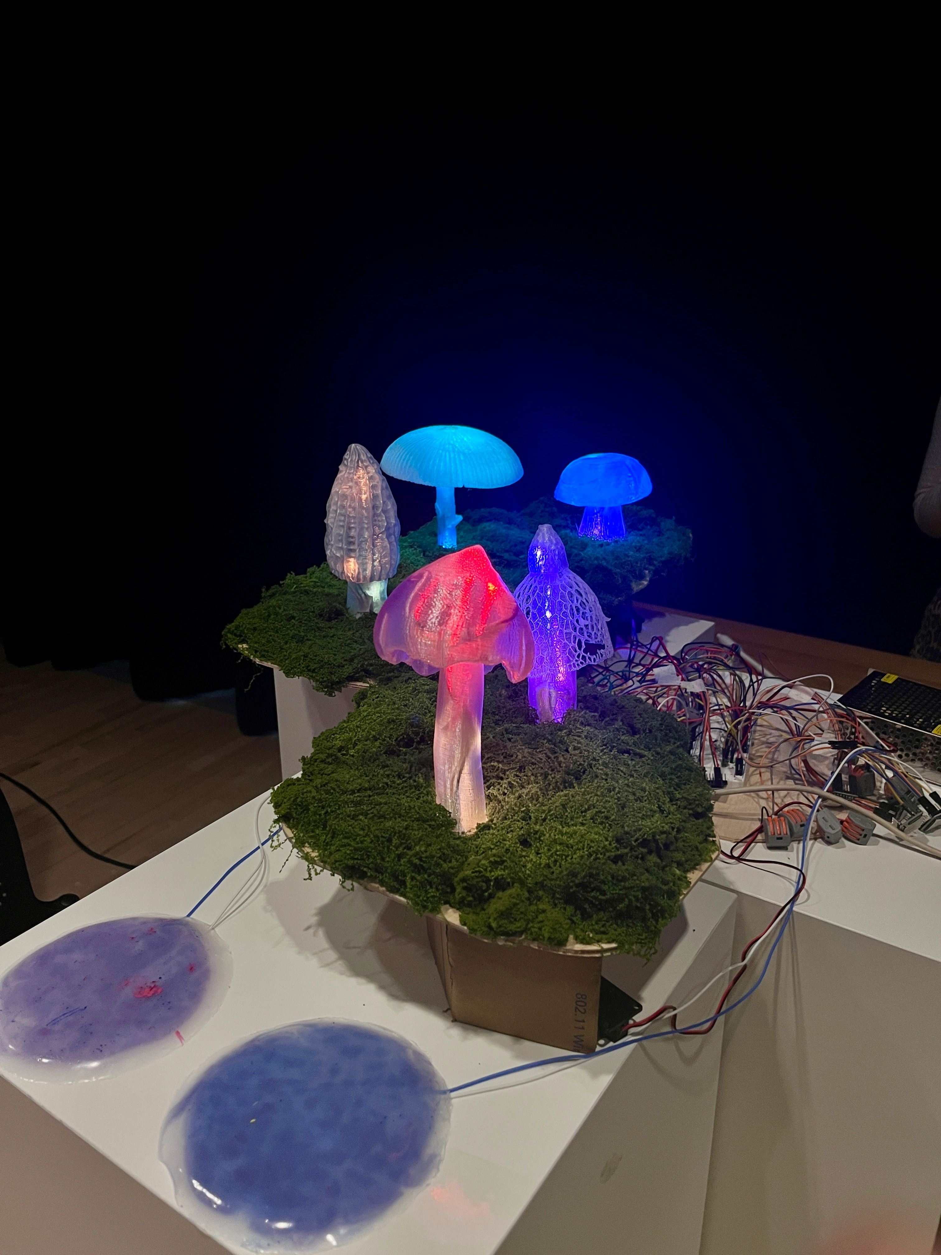 Exhibition 2