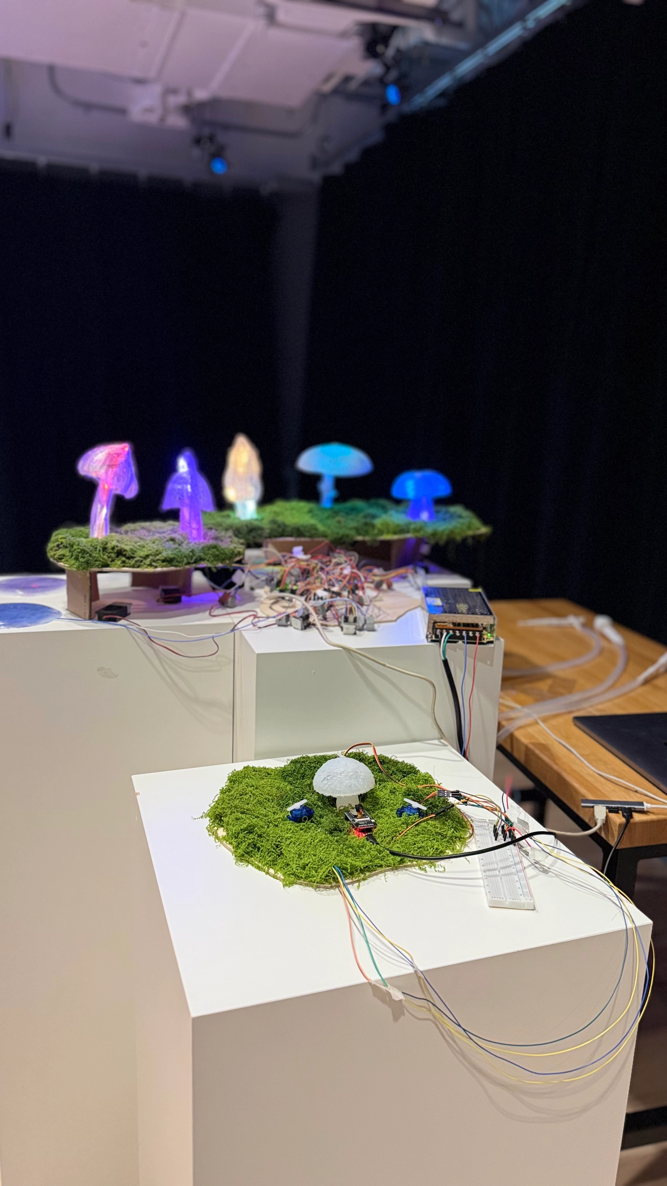 Exhibition 4