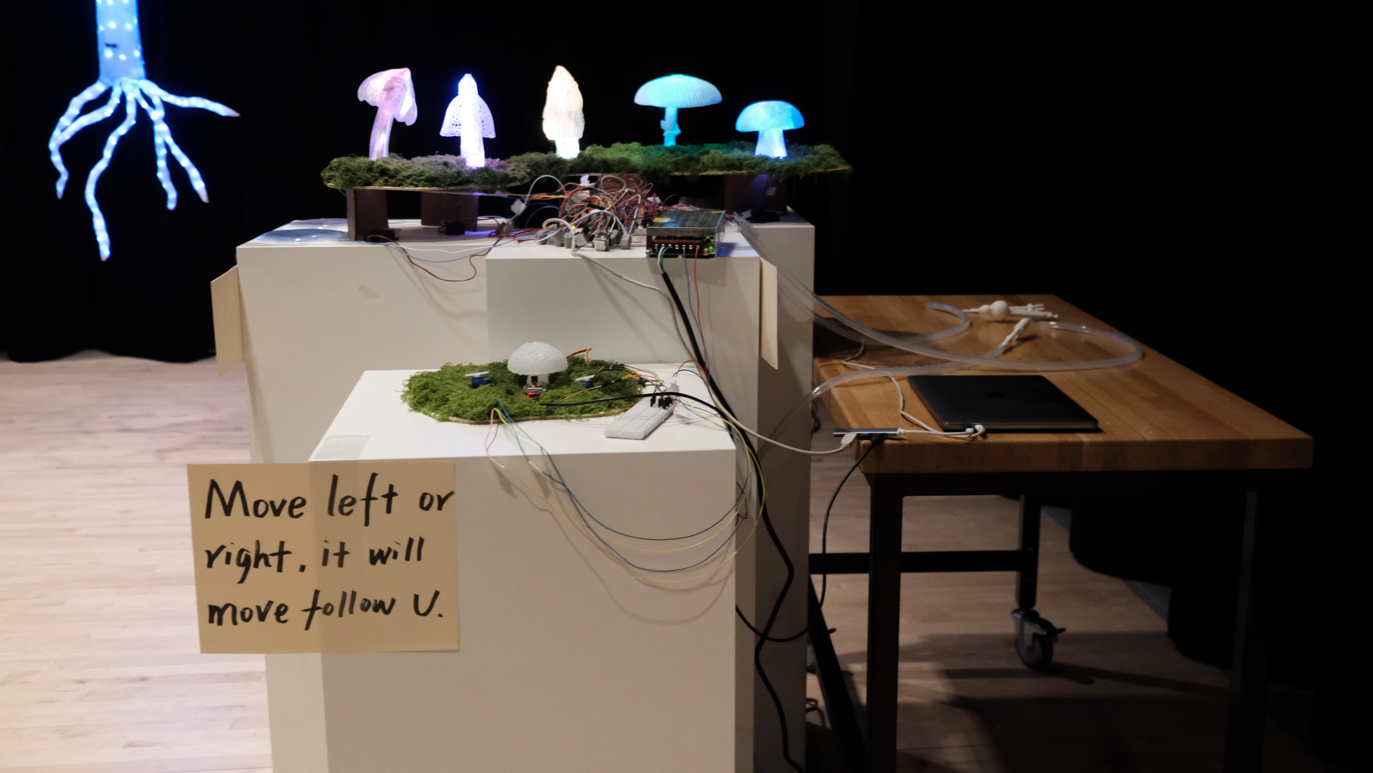 Exhibition 7